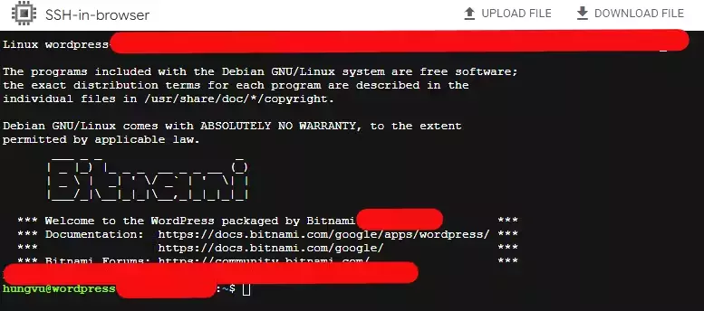 Wordpress by Bitnami and Automattic terminal.